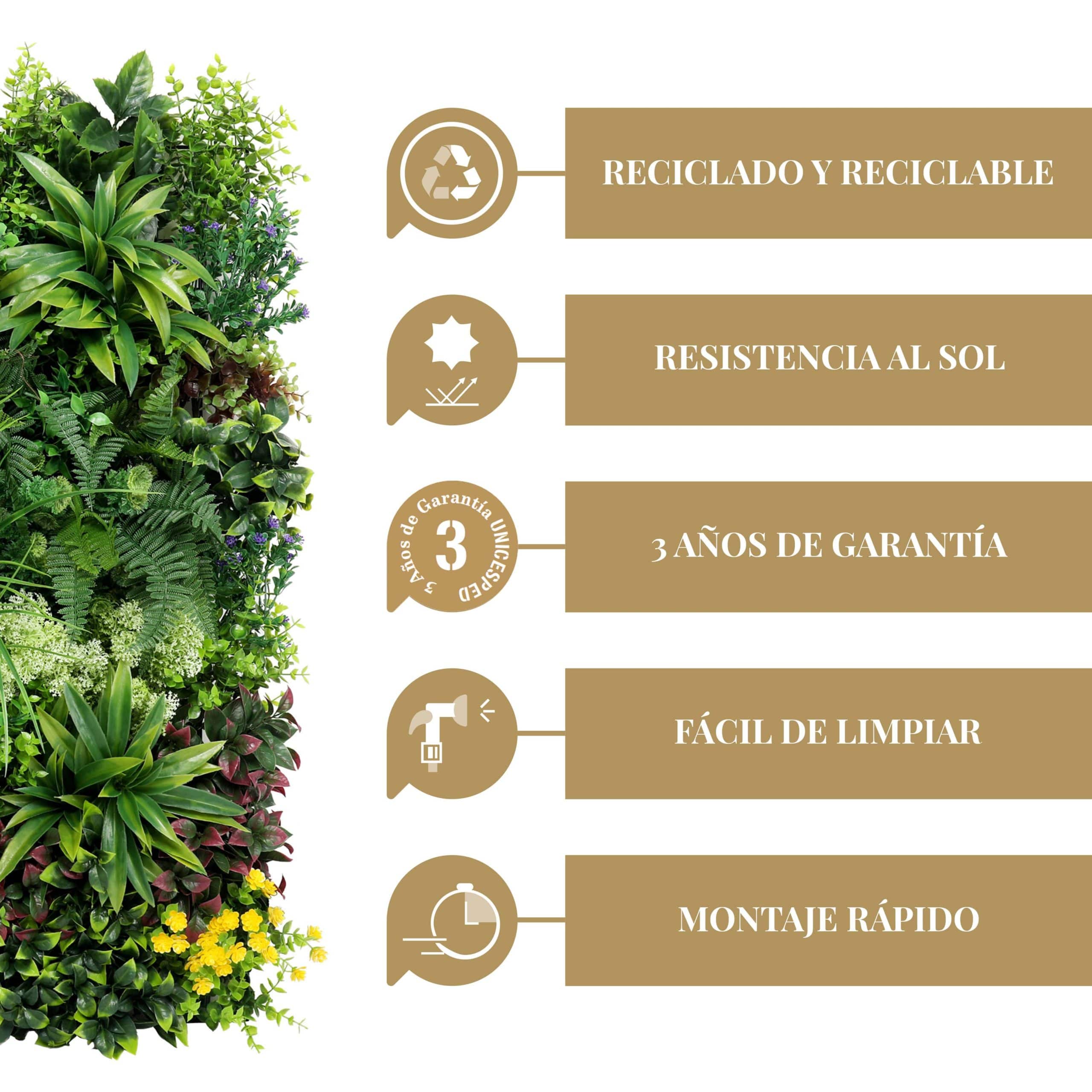 Caracteristica Spring Two