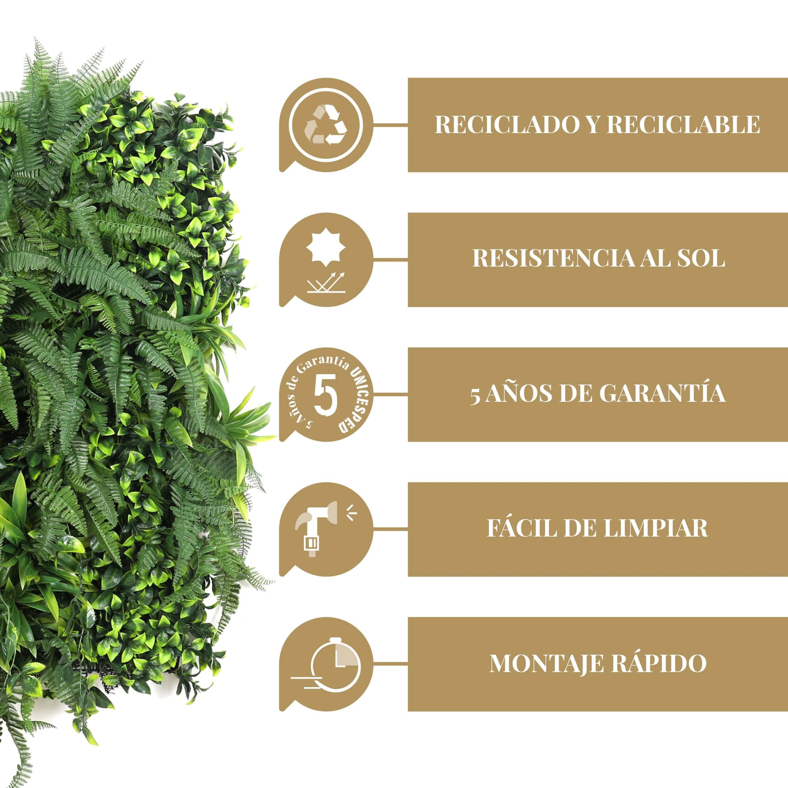 Caracteristicas More Green