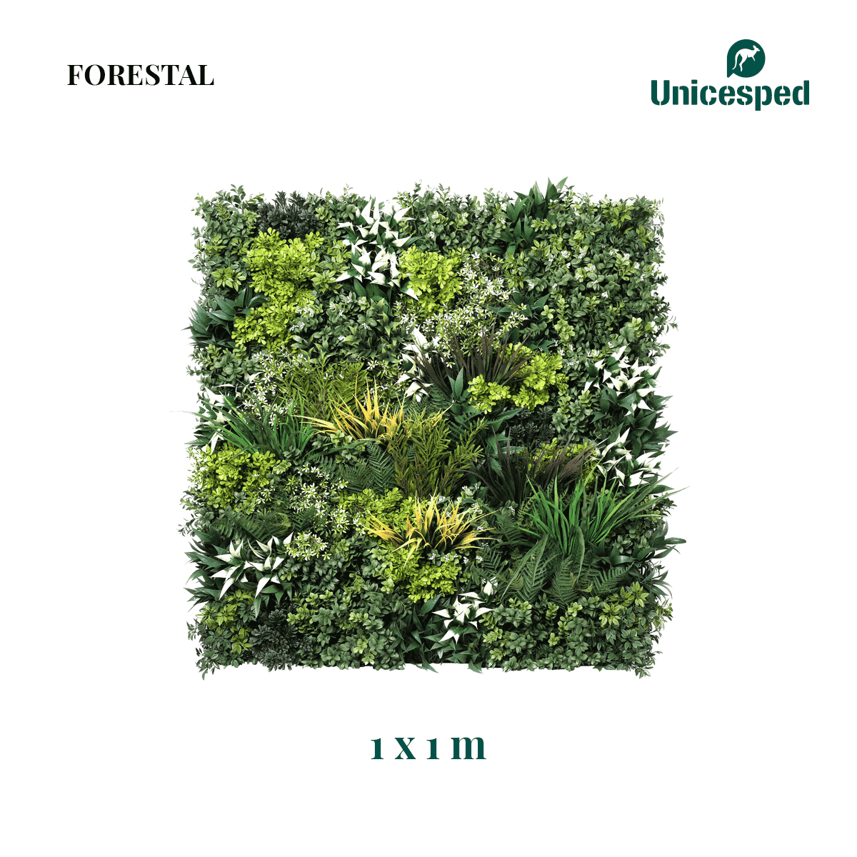 Forestal B - Imagen 3