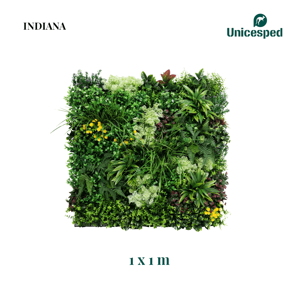 Indiana - Imagen 4