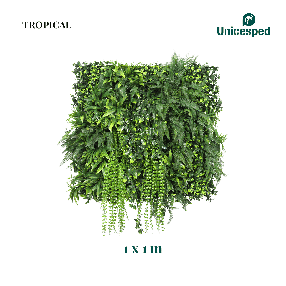 Tropical - Imagen 3