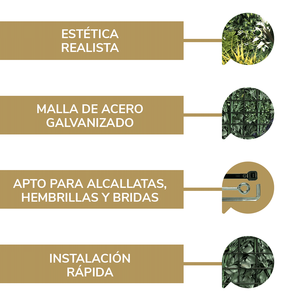 Forestal B - Imagen 4