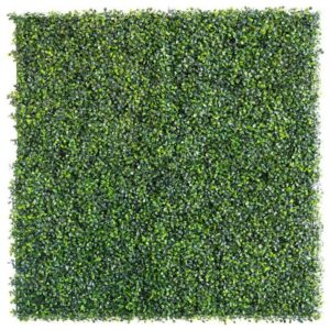 Boxwood light green