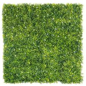 Boxwood White Flower