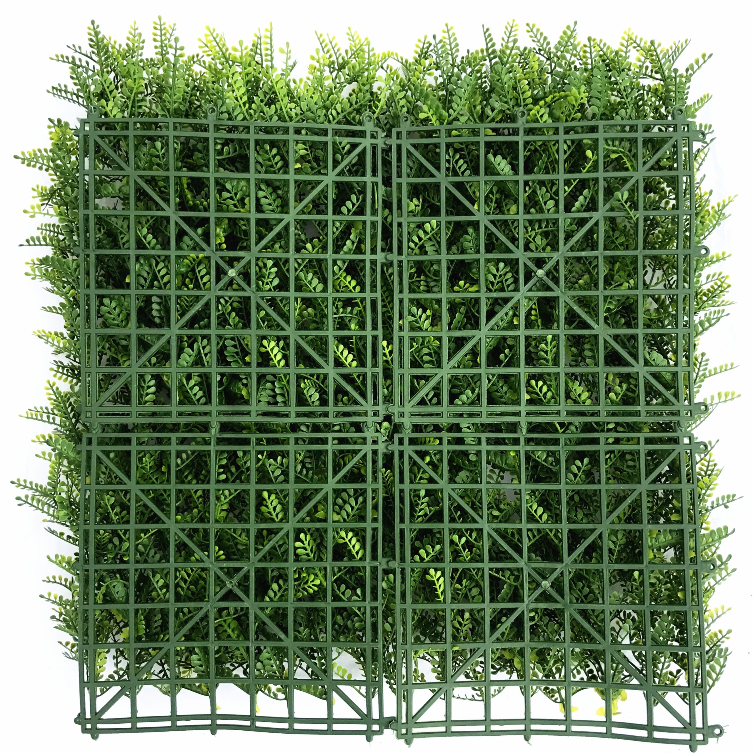 Golden Fern - Imagen 3