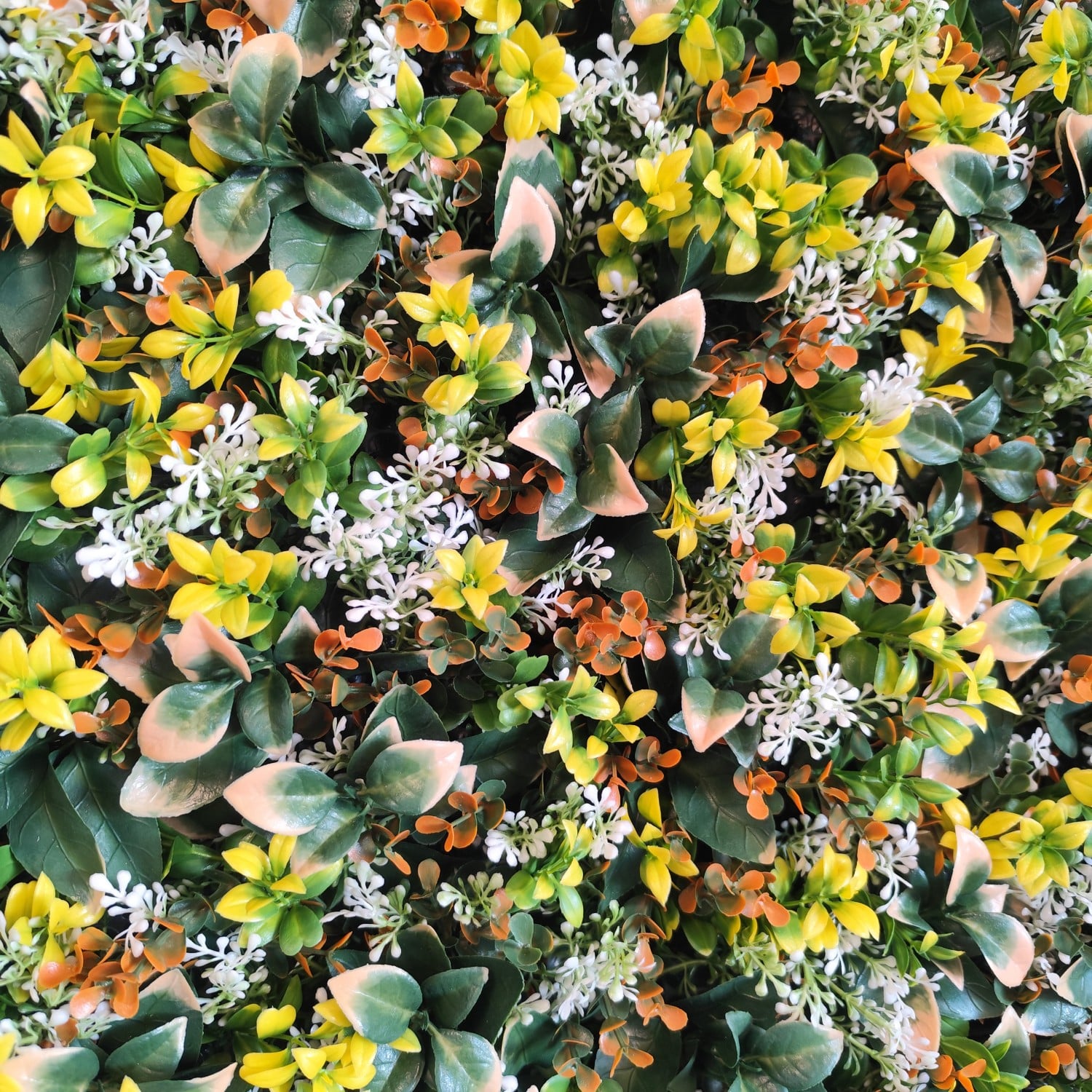 Autumm Garden - Imagen 3