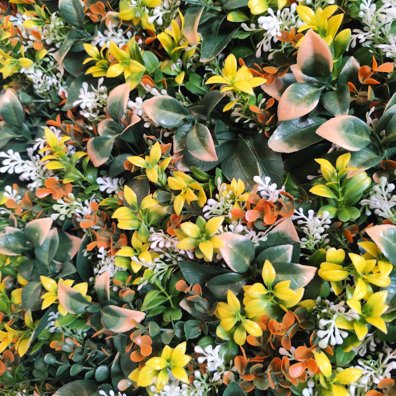 Autumm Garden - Imagen 2