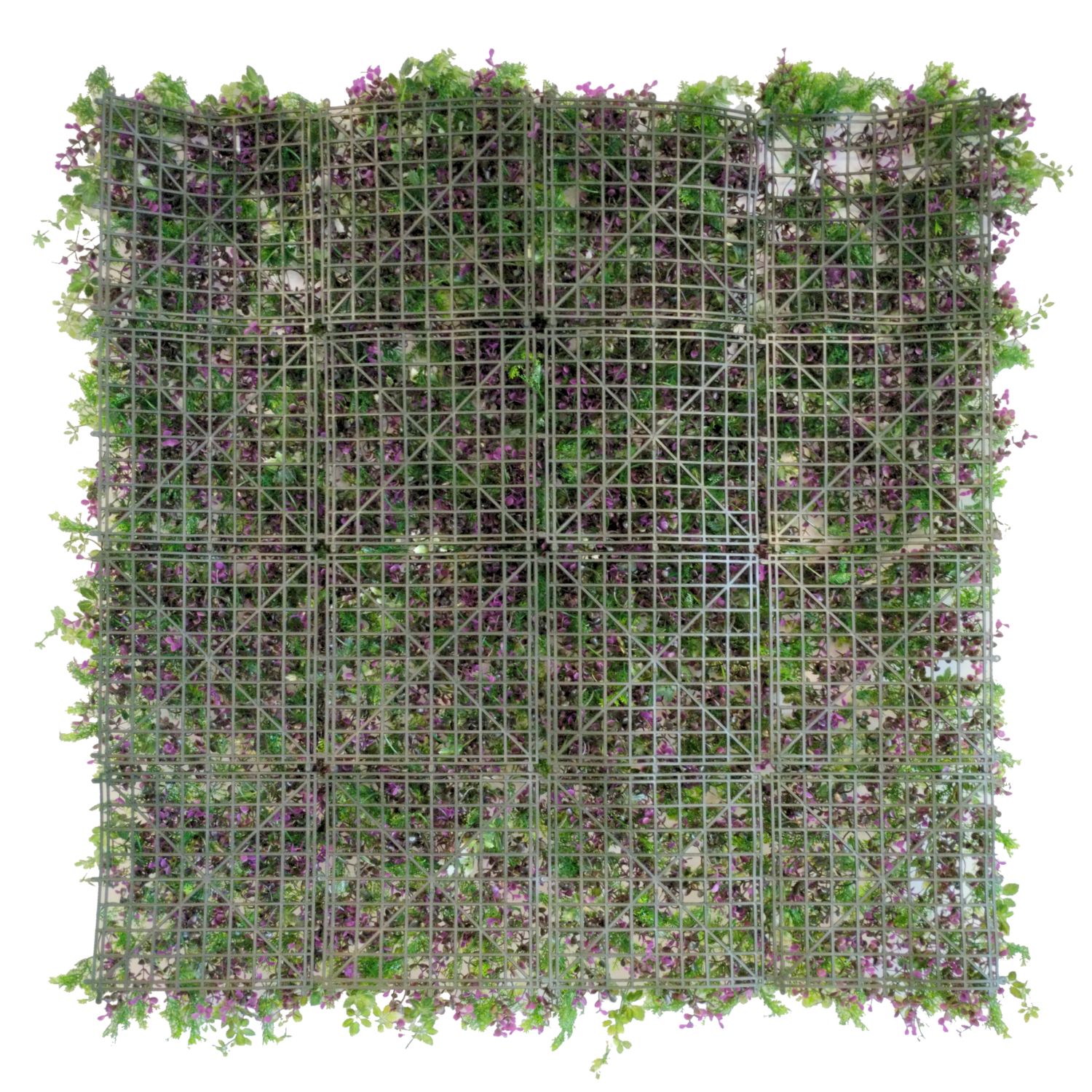 Fantasy Garden - Imagen 2