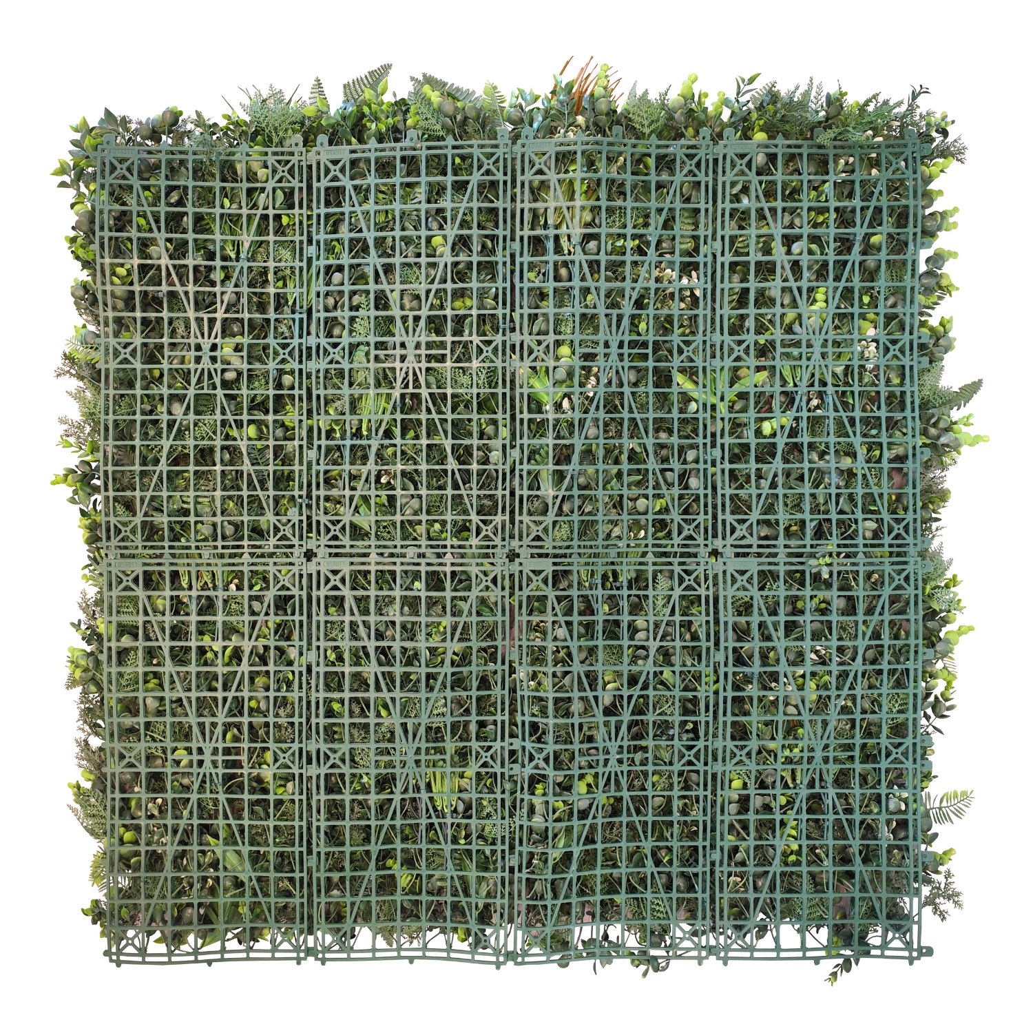 Botanic - Imagen 4