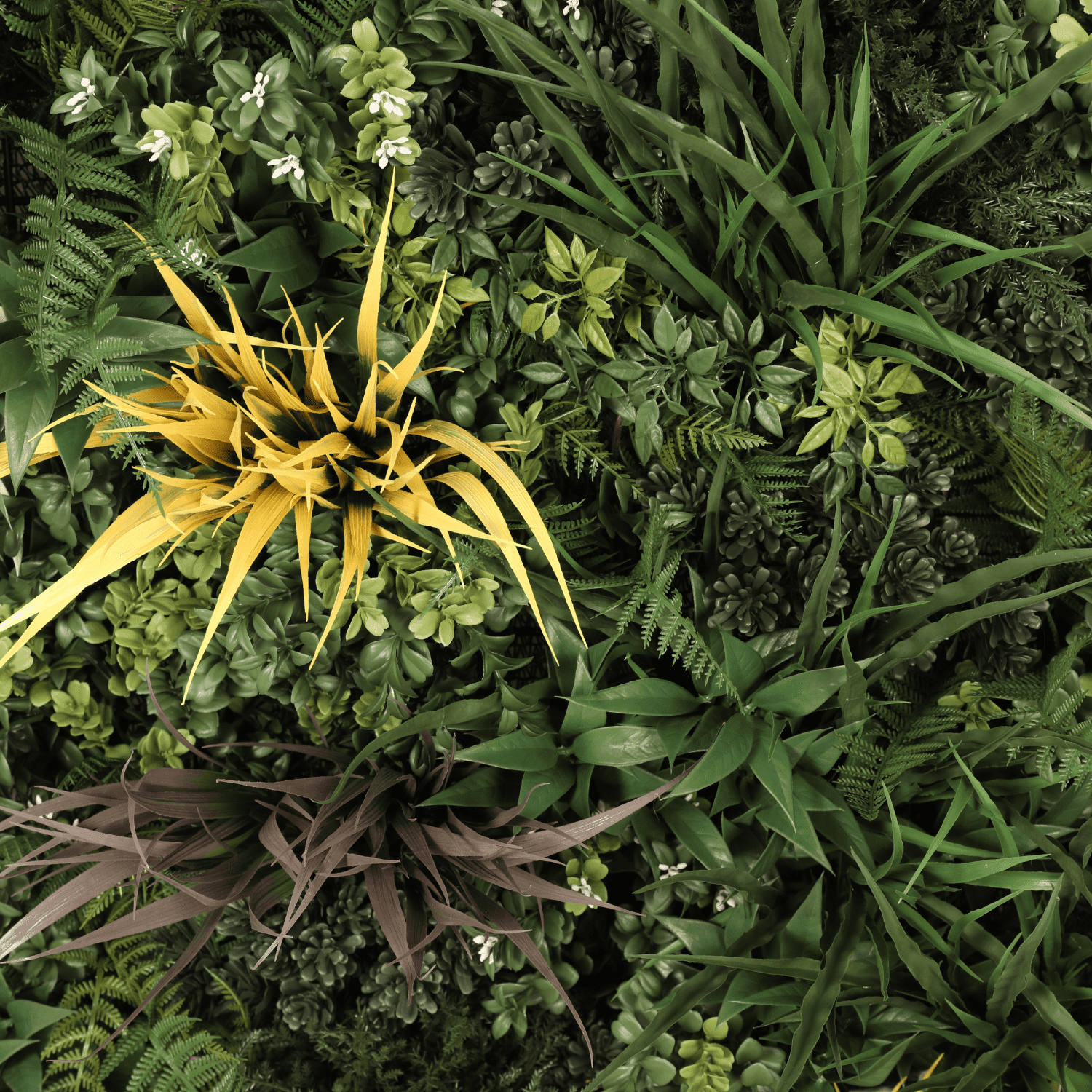 Biogarden - Imagen 2