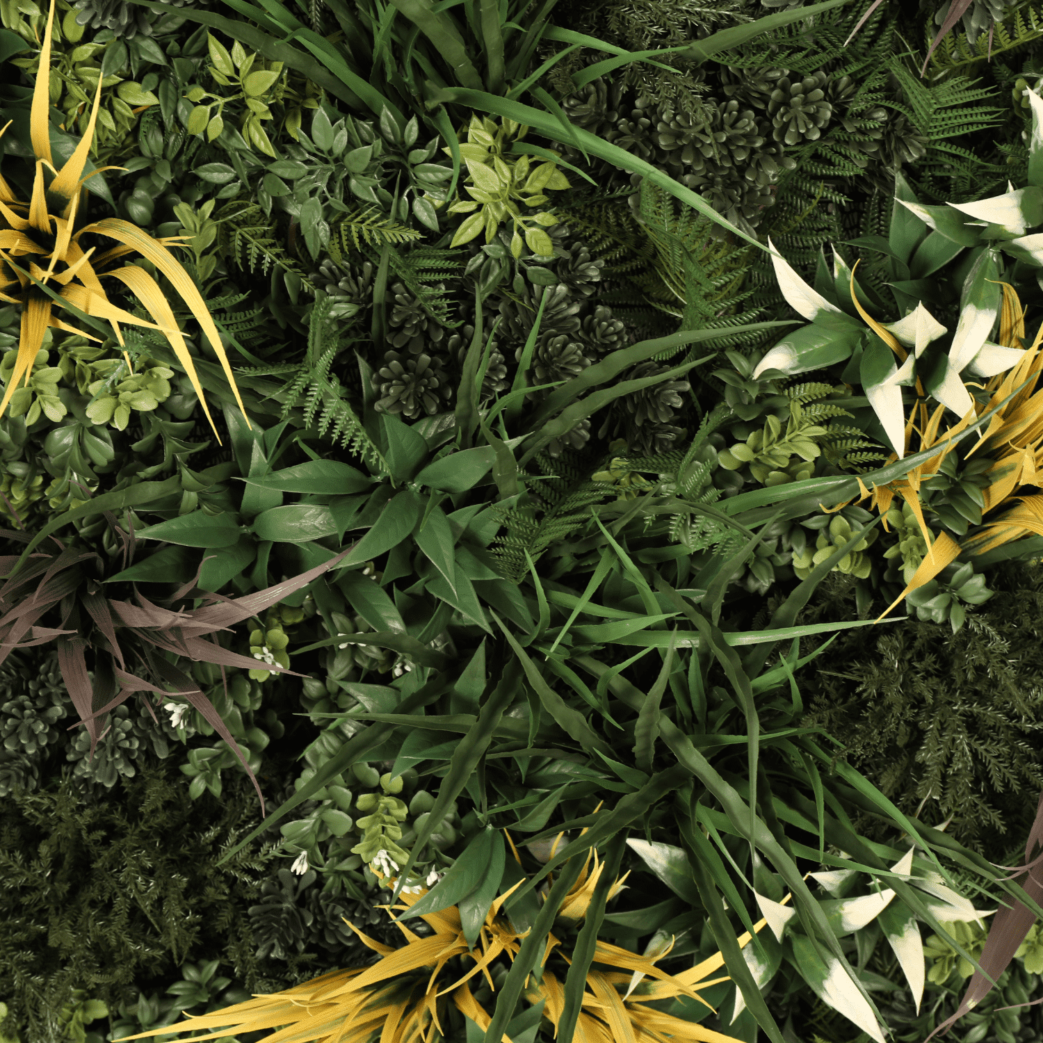 Biogarden - Imagen 3