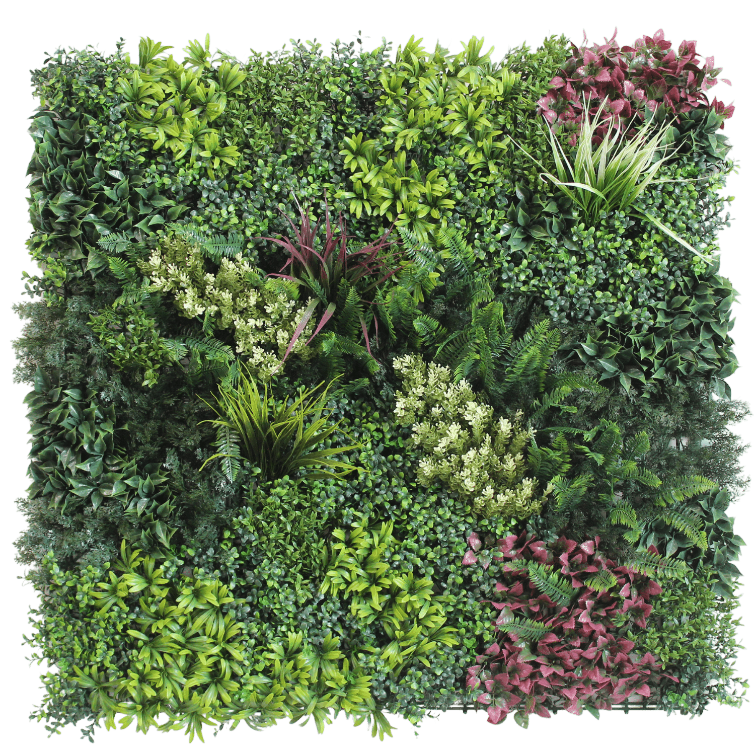 Joint Spring Garden C