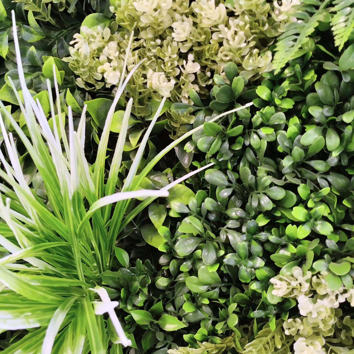 Celestial Garden Frame - Imagen 2