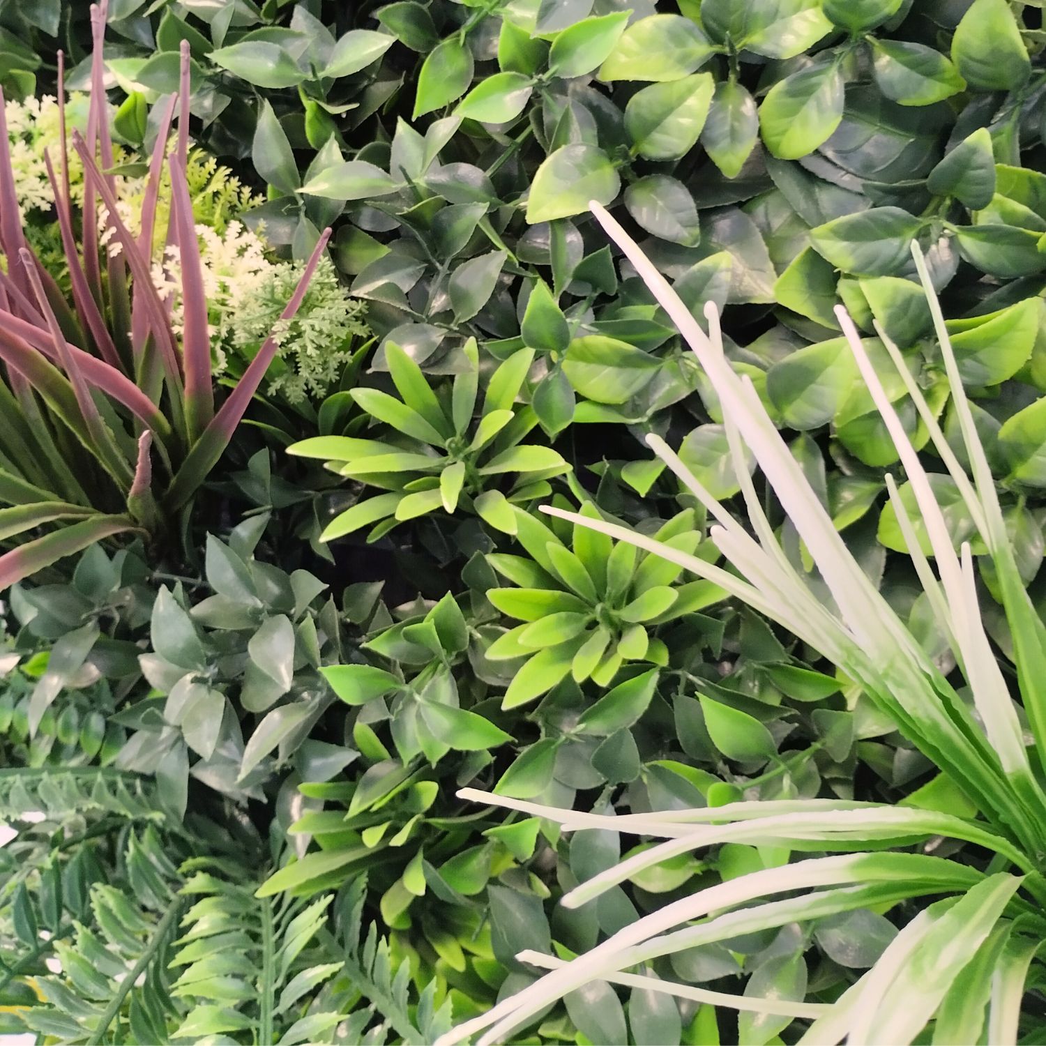 Celestial Garden Frame - Imagen 3