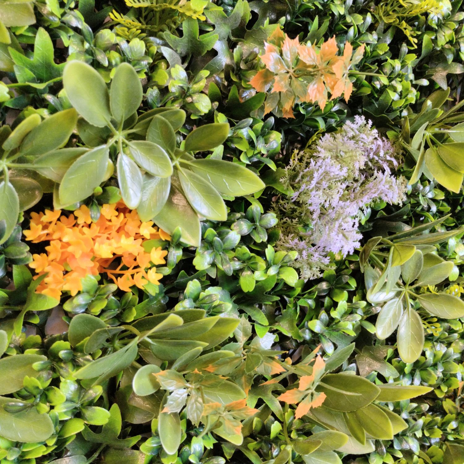 Eden Garden - Imagen 2