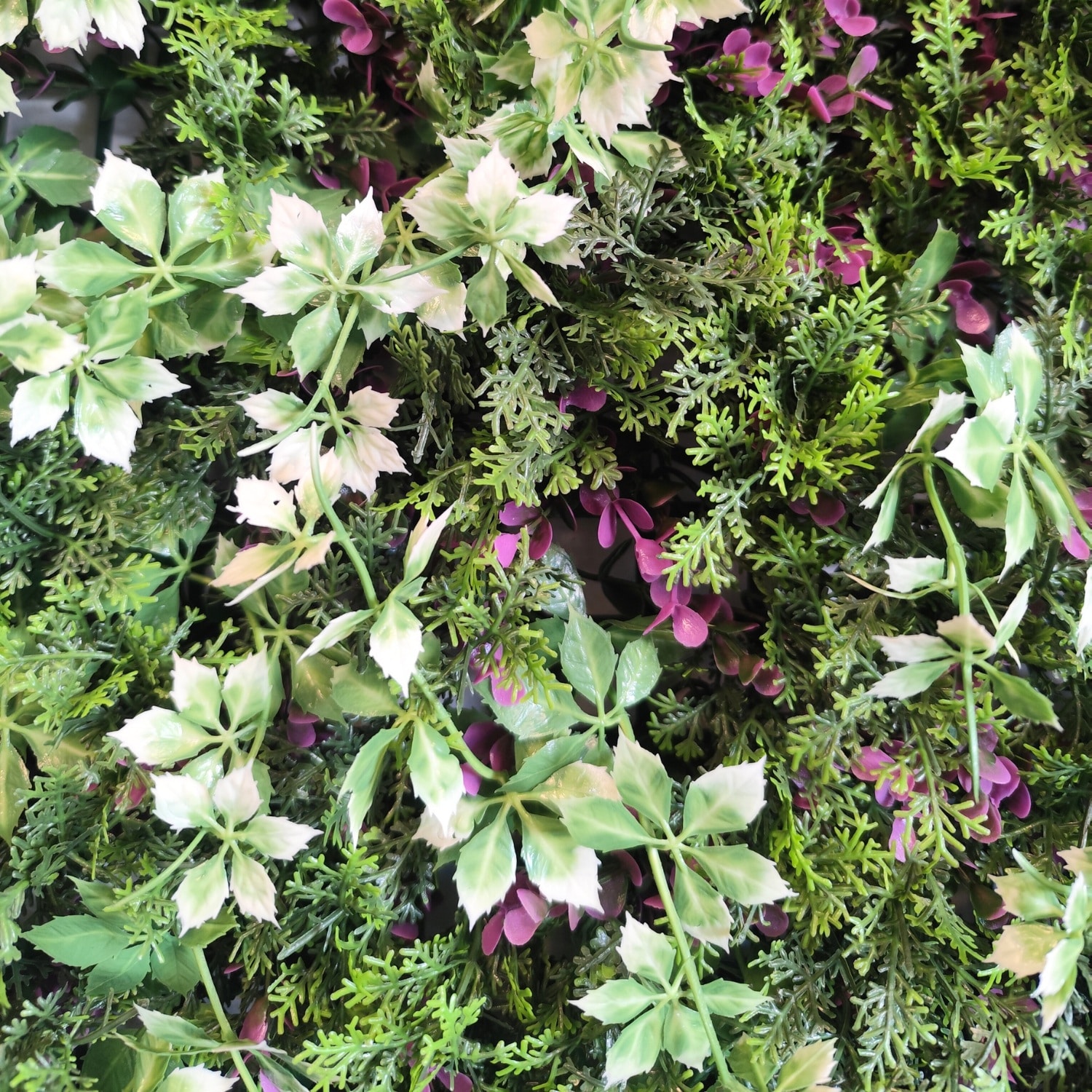 Fantasy Garden - Imagen 4