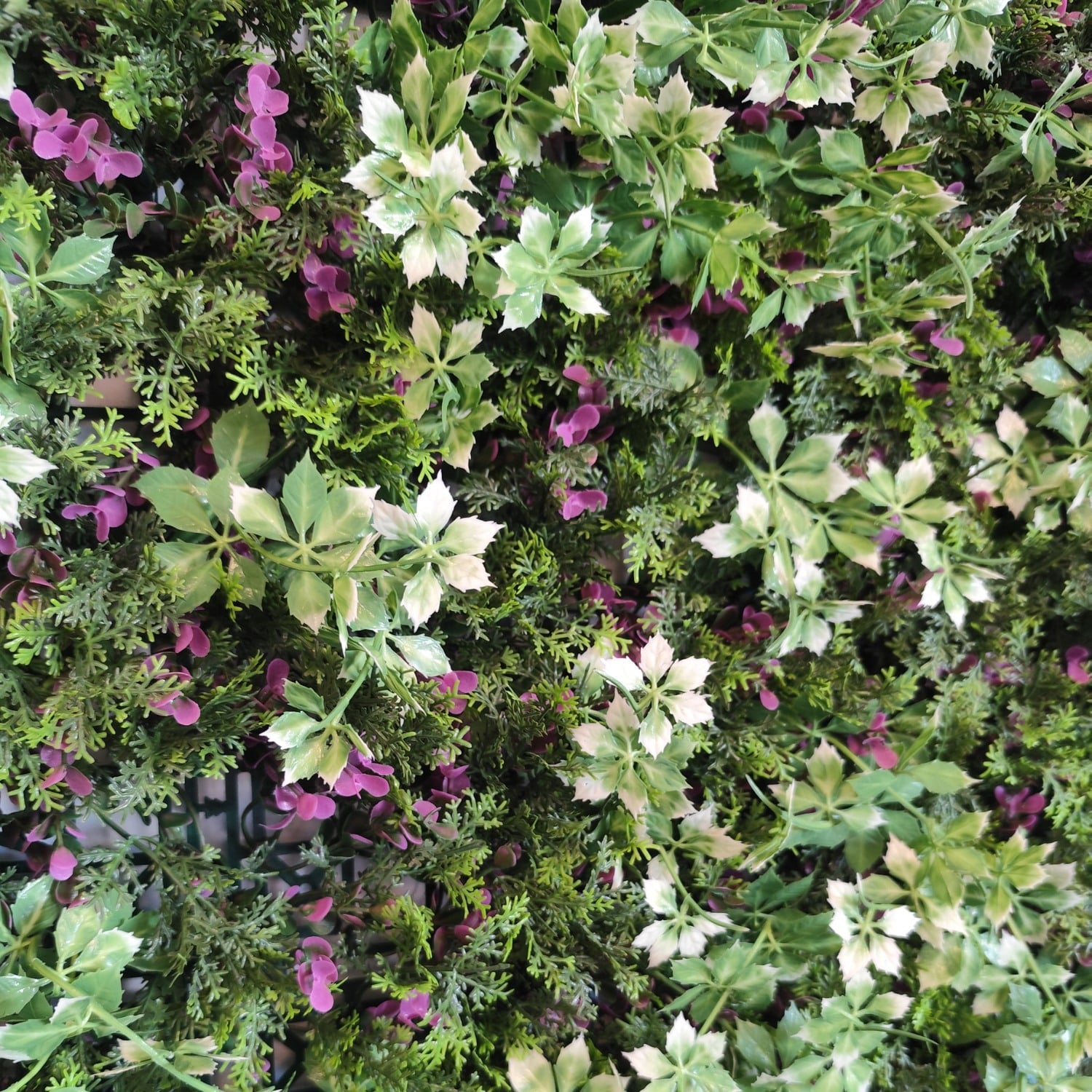 Fantasy Garden - Imagen 3