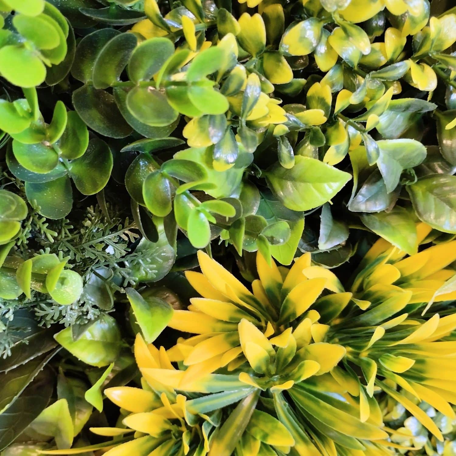 Fenix Frame - Imagen 4