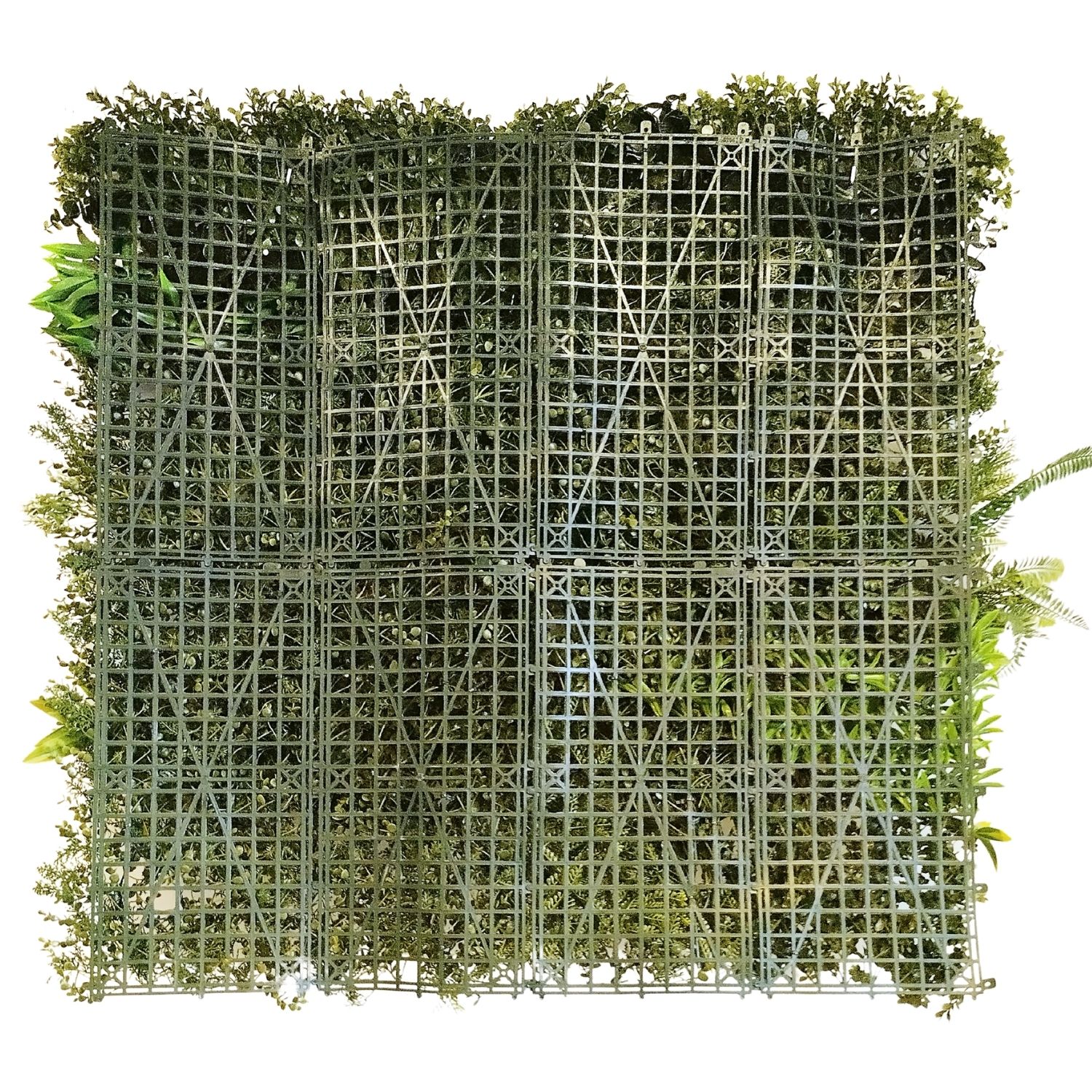 Green Nature - Imagen 3