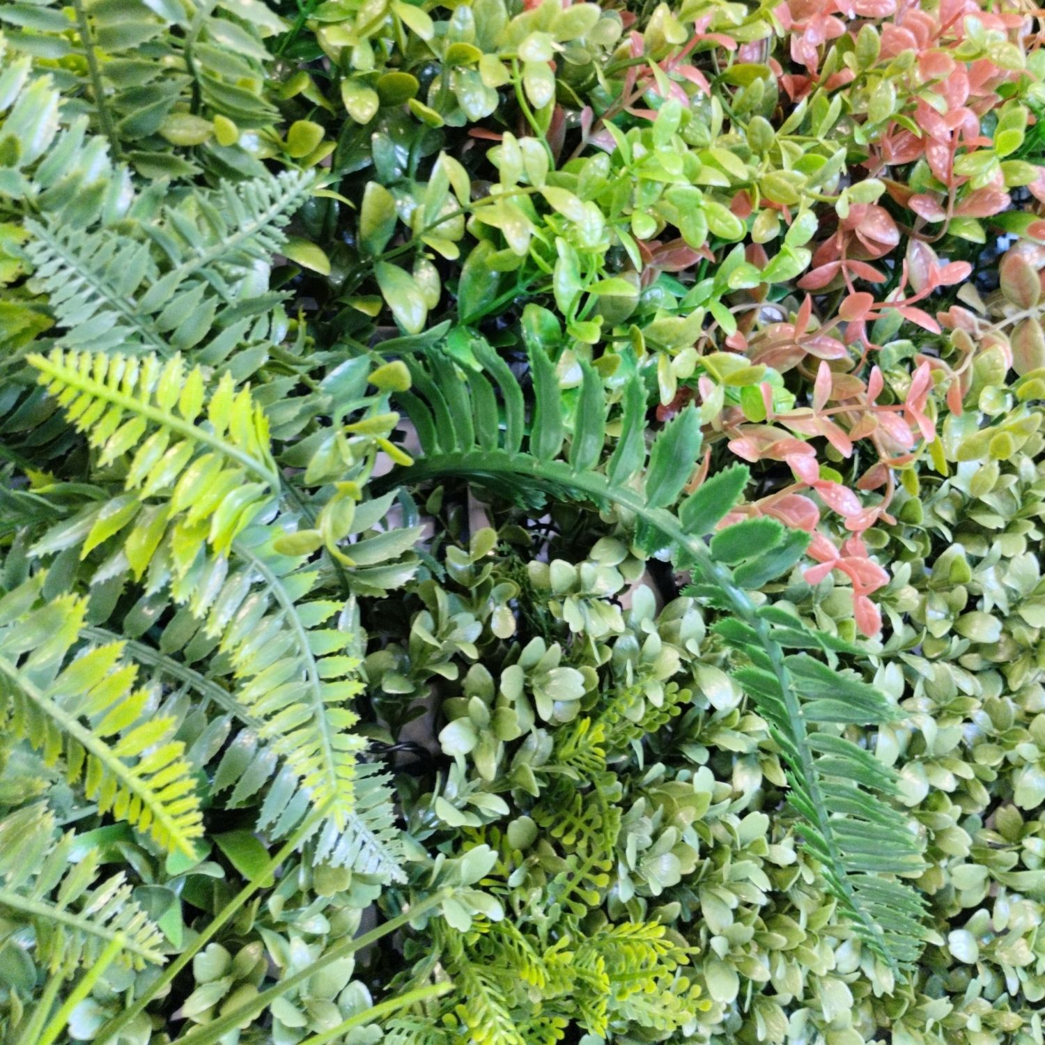 Green Nature - Imagen 4