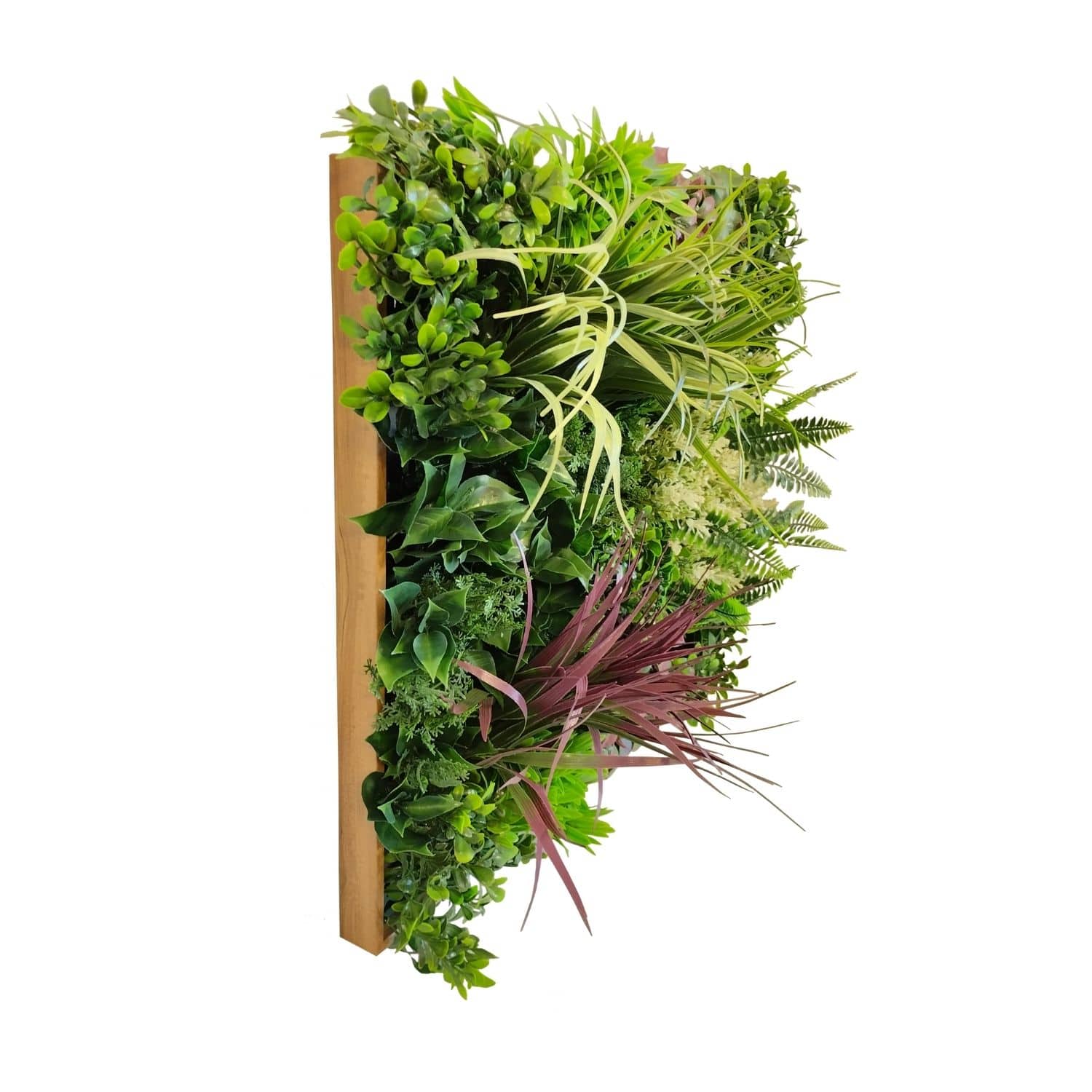 Harmony Frame - Imagen 6