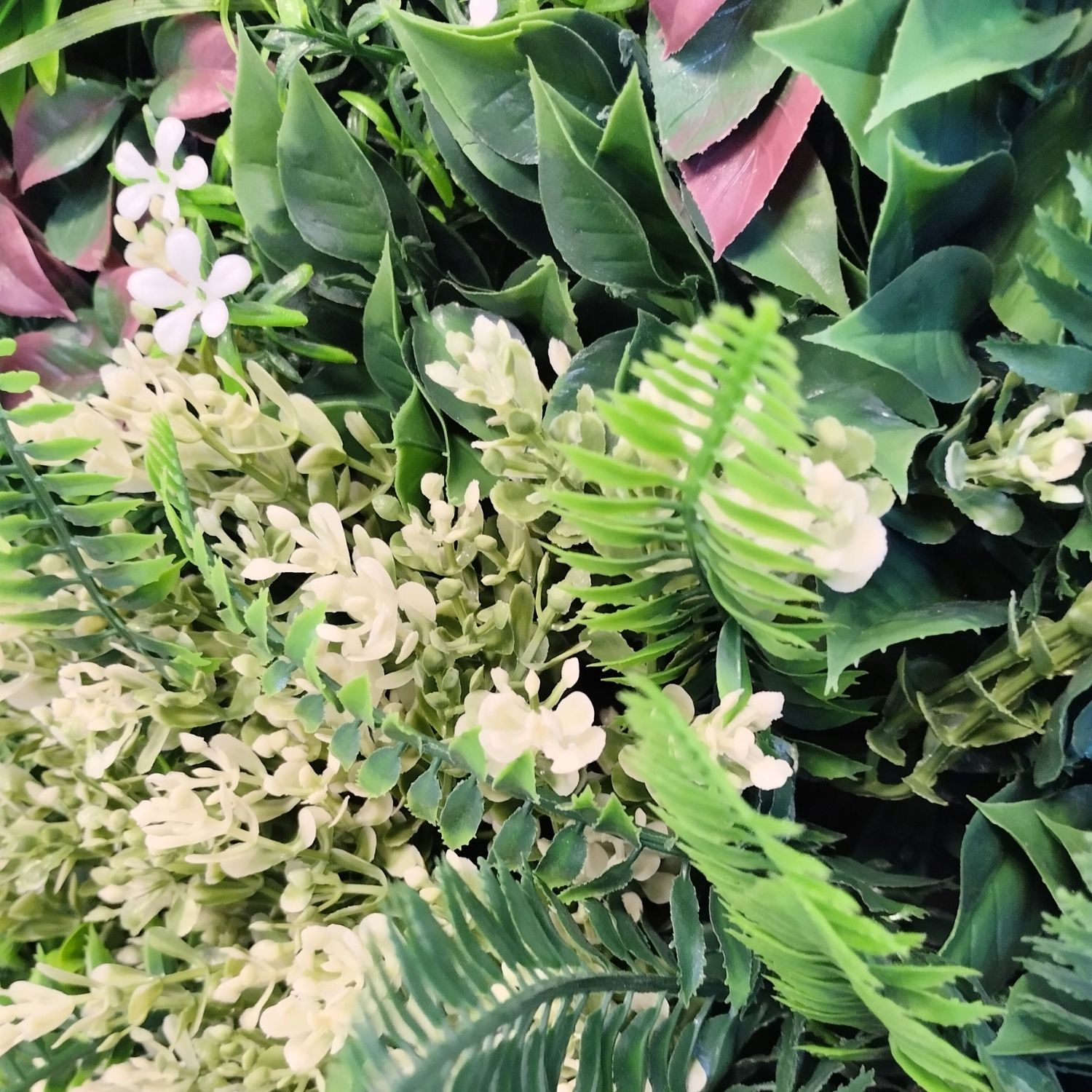 Harmony Frame - Imagen 3