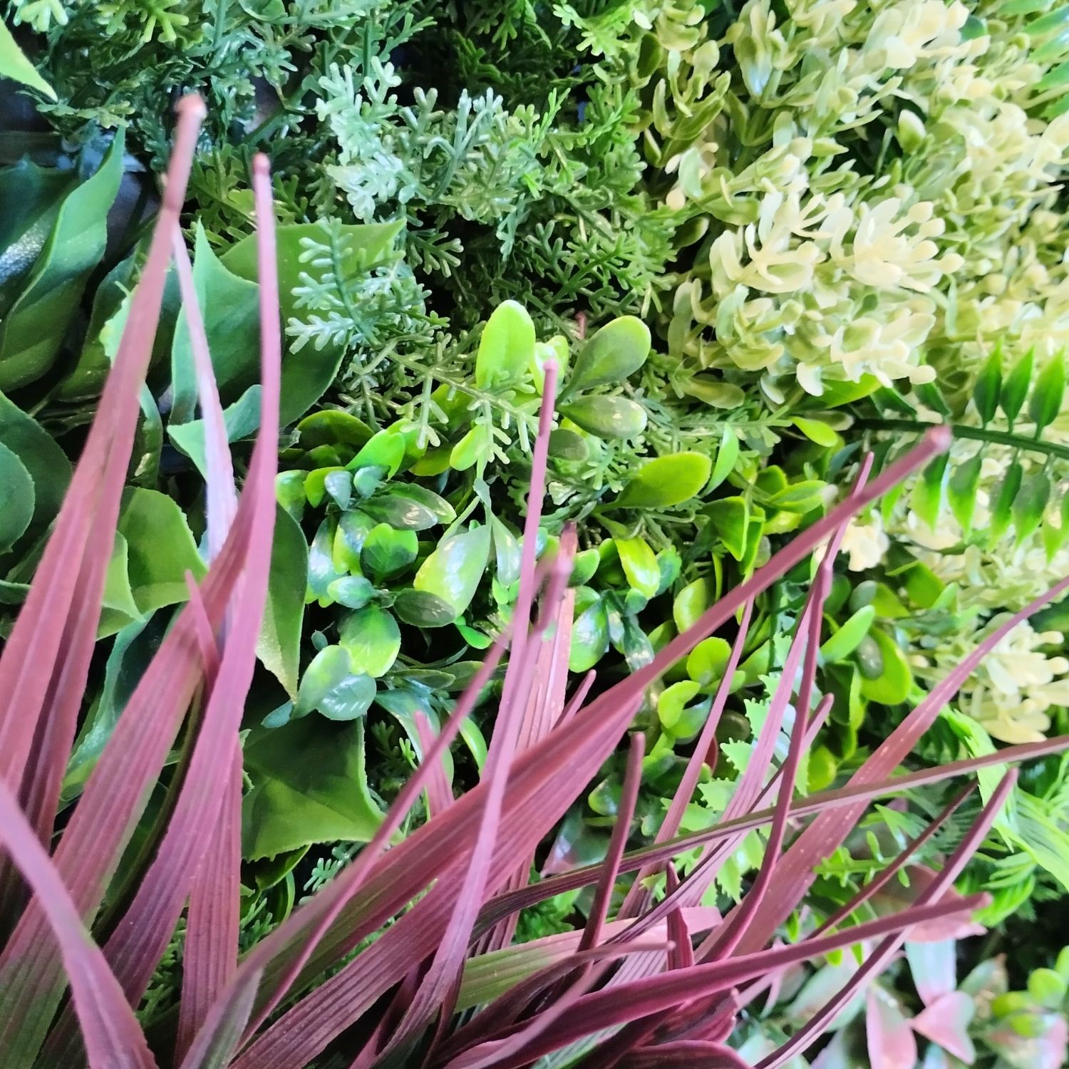 Harmony Frame - Imagen 4