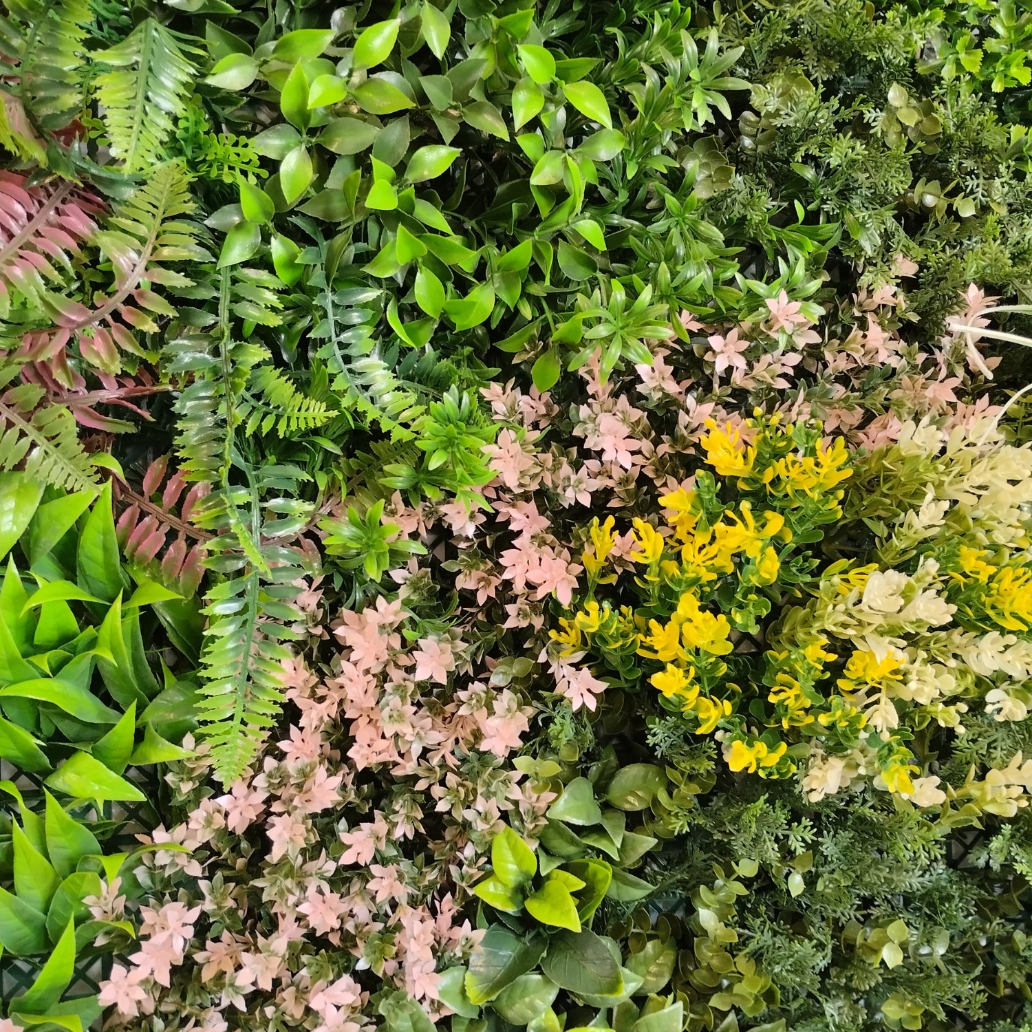 Sweet Garden B - Imagen 2