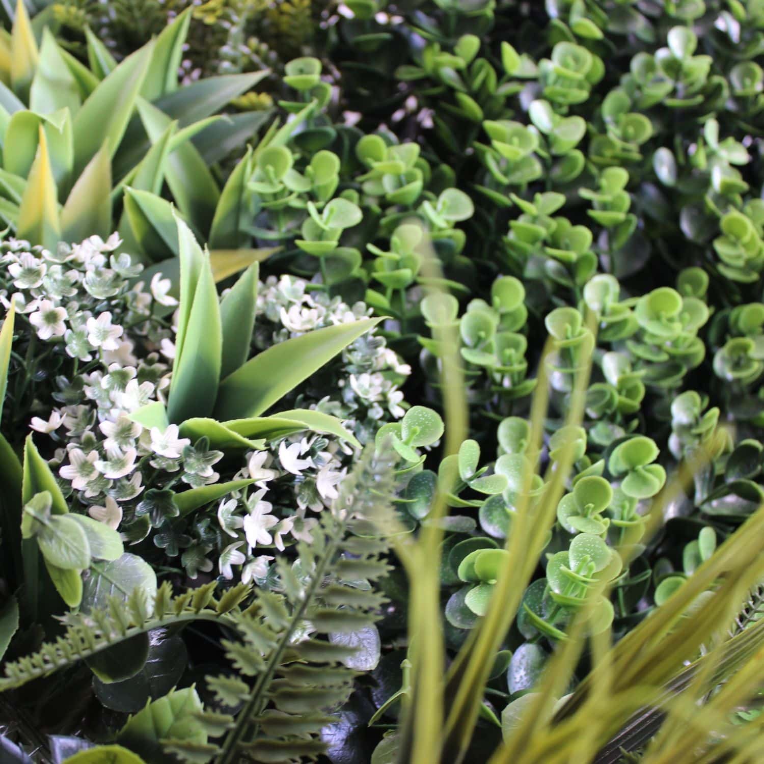 Colour Spring - Imagen 5