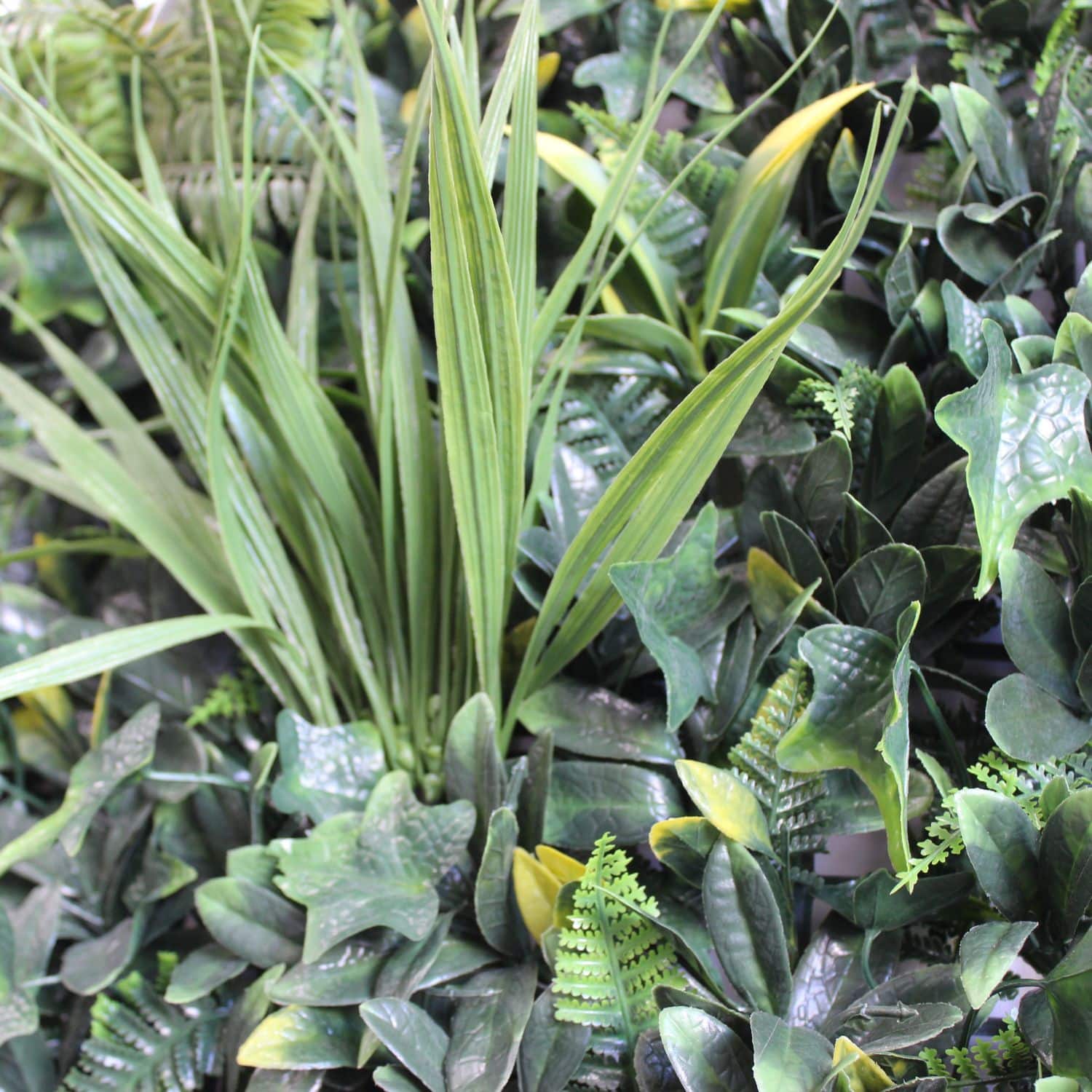 Green Garden - Imagen 3