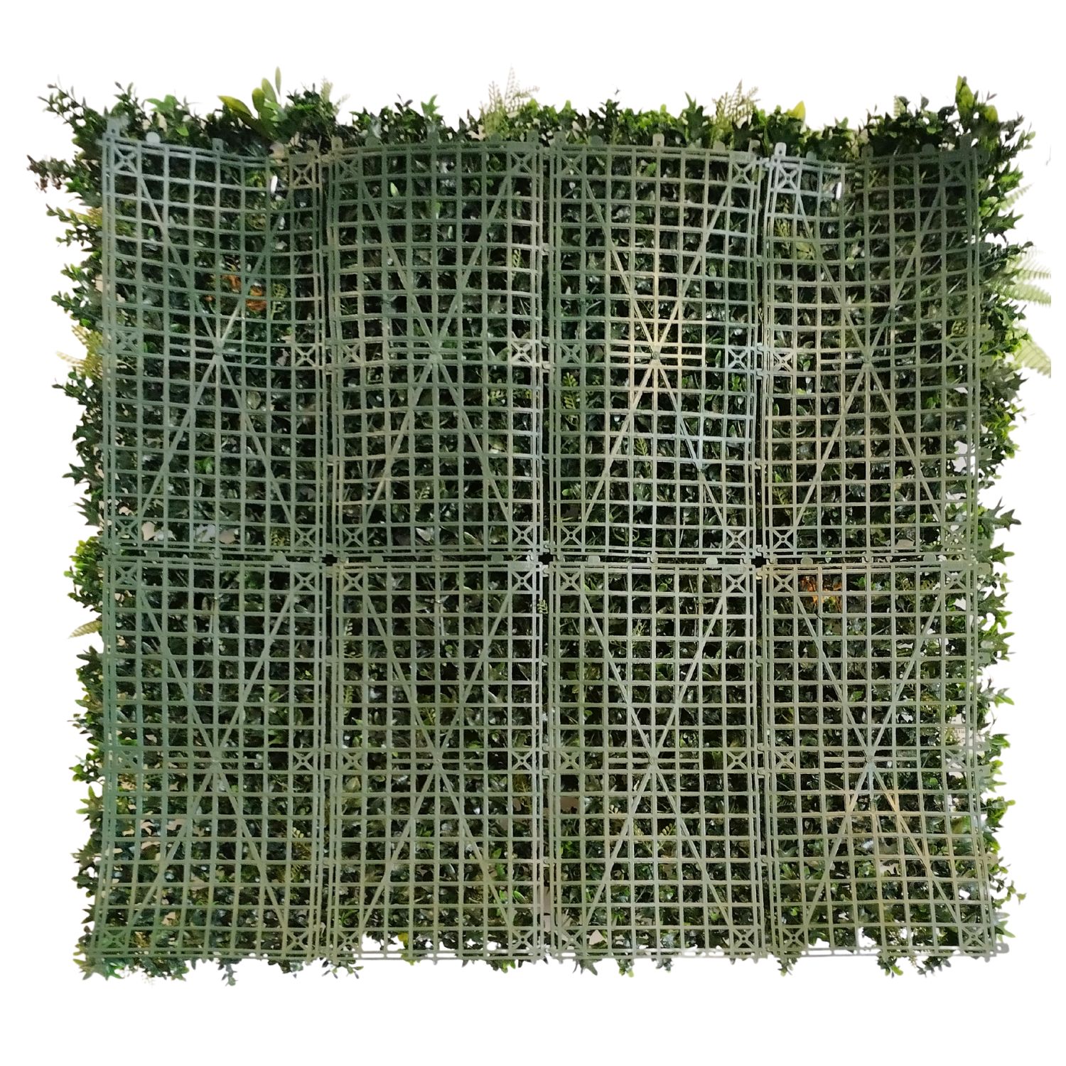 Eden Garden - Imagen 4