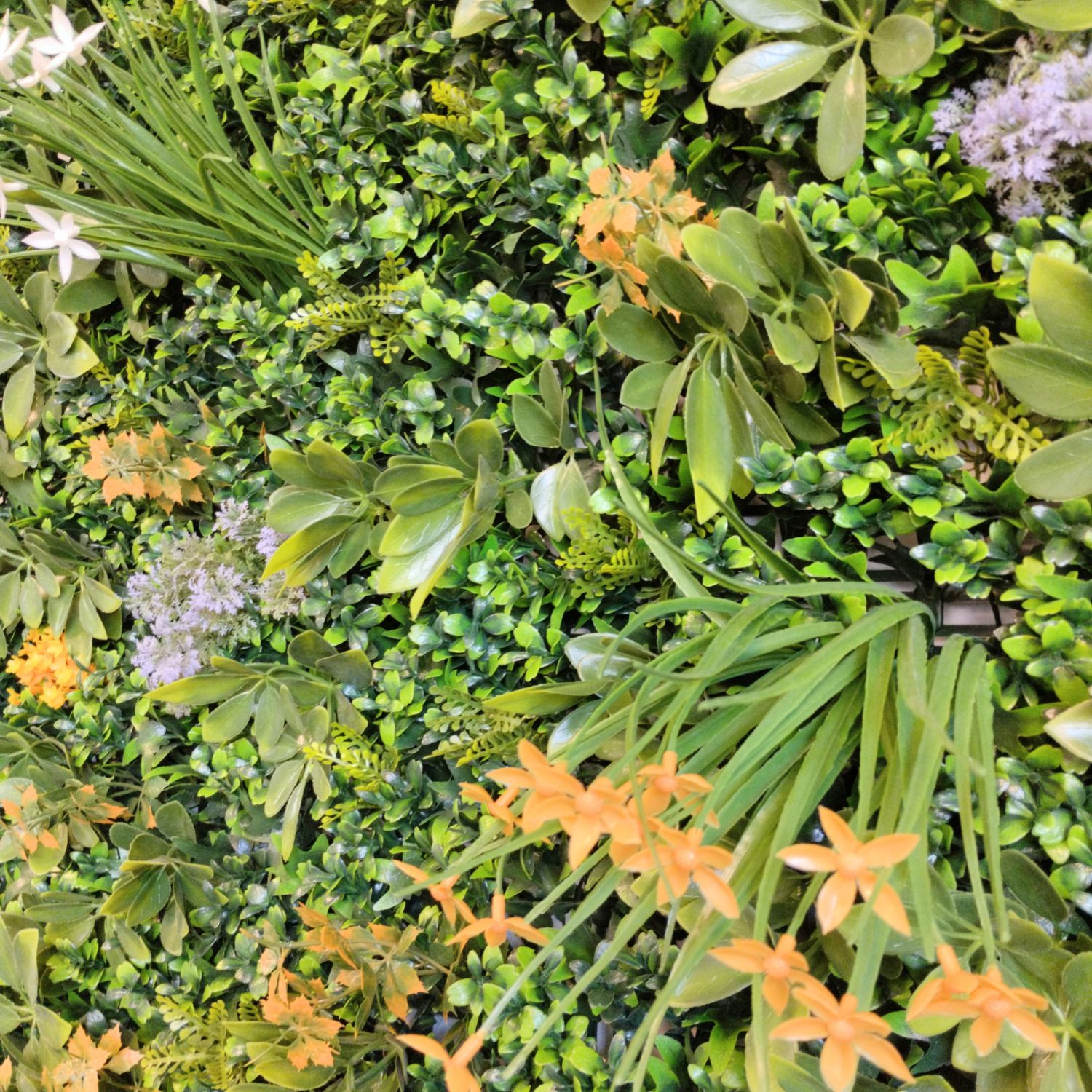 Eden Garden - Imagen 3