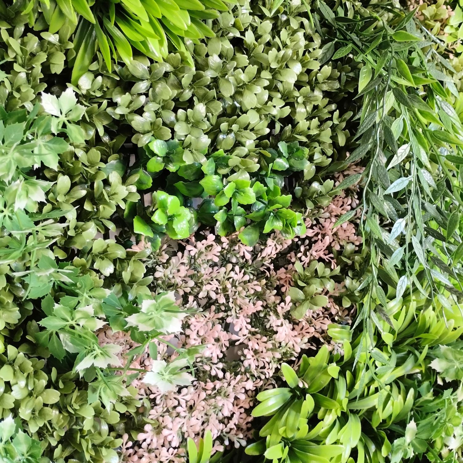 Fresh Garden - Imagen 3