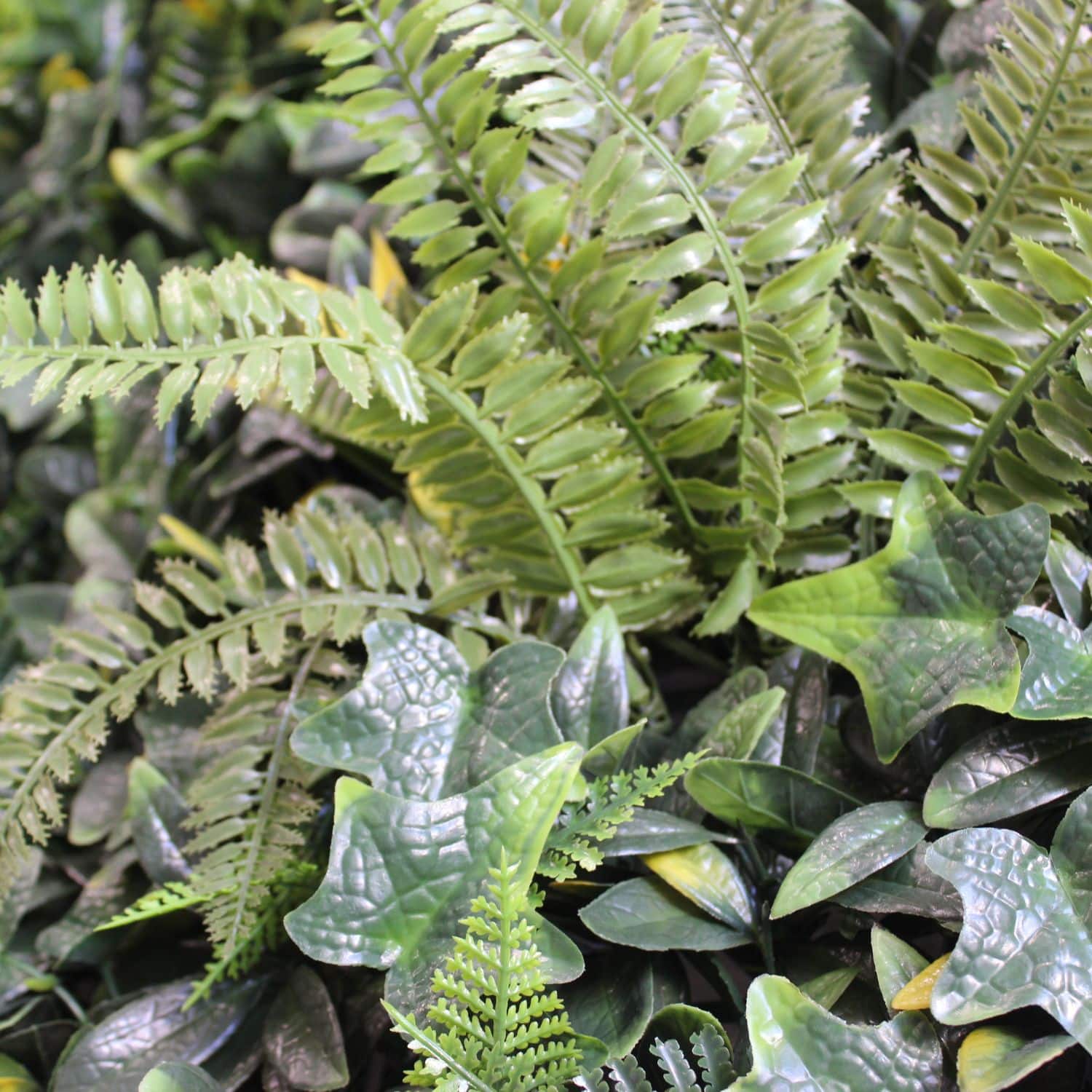 Green Garden - Imagen 4