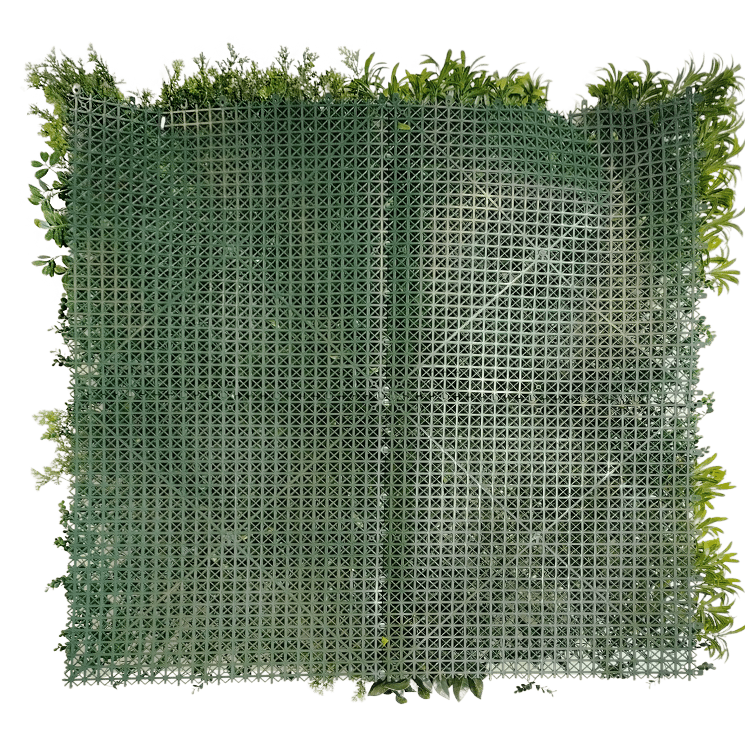 Sunset Garden - Imagen 3