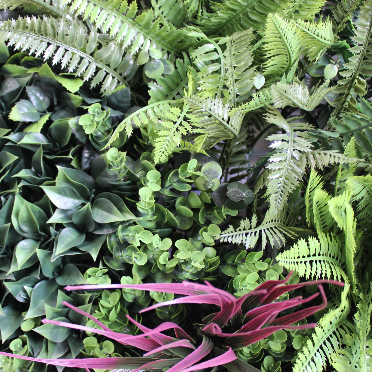 Colour Spring - Imagen 4