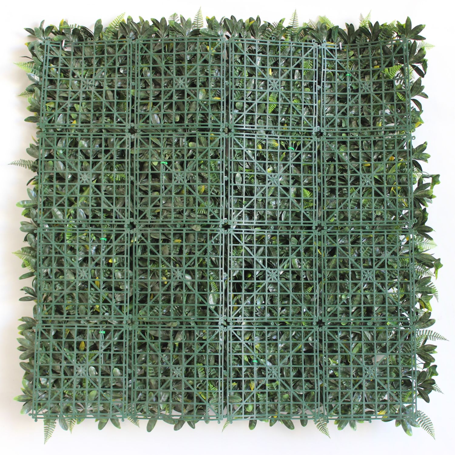 Green Garden - Imagen 2