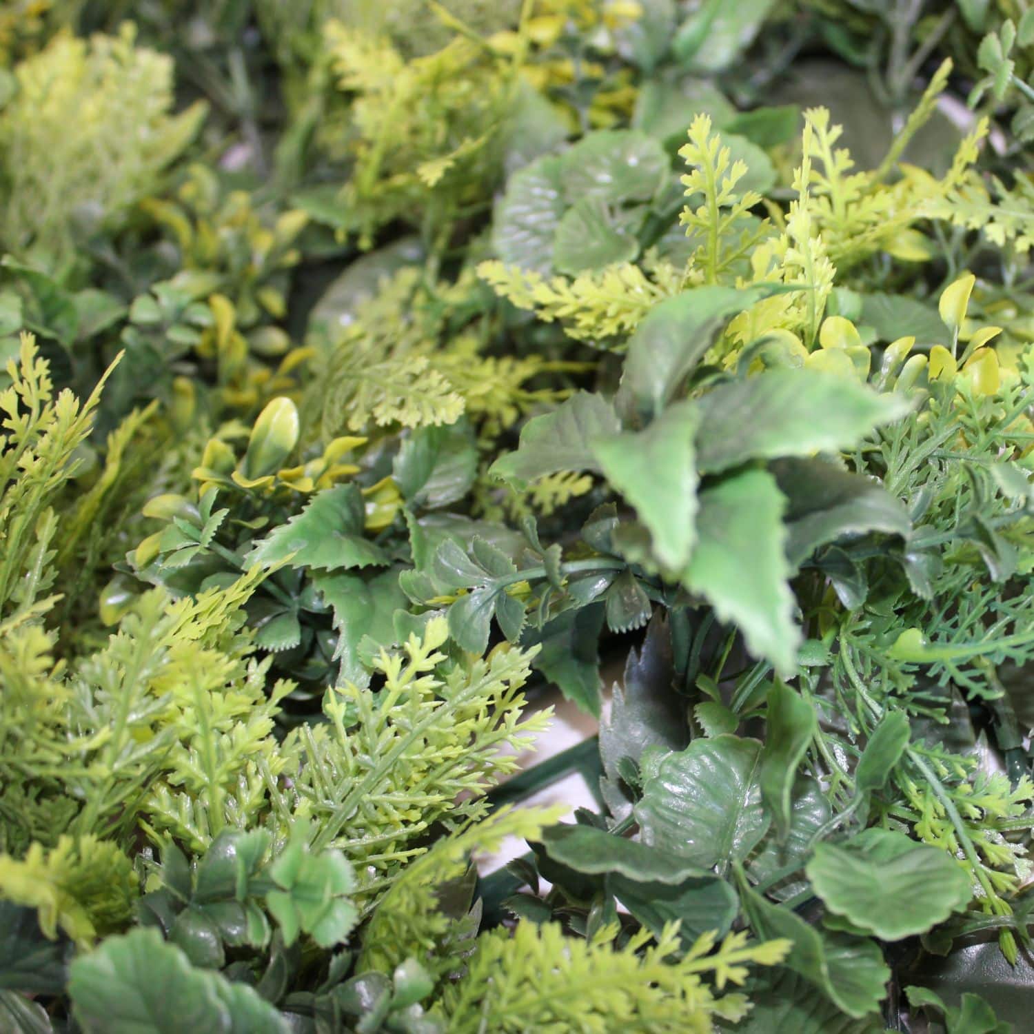 Green light - Imagen 2