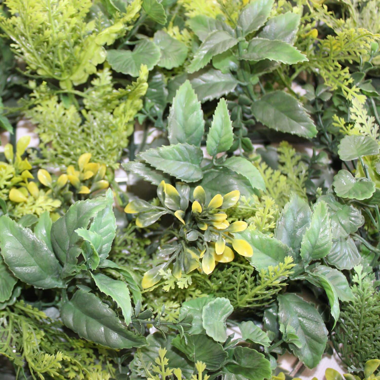 Green light - Imagen 3