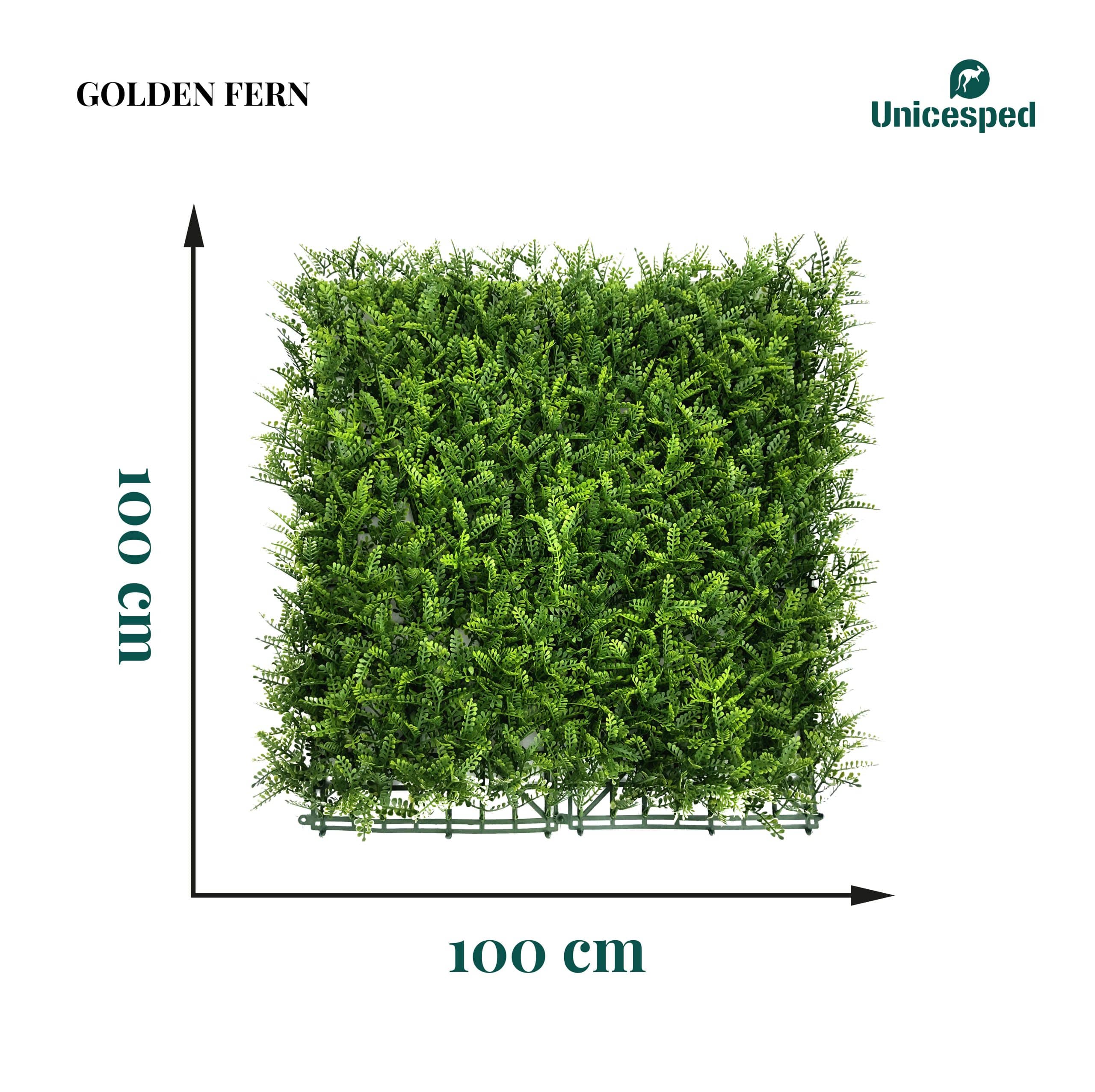 Golden Fern - Imagen 4