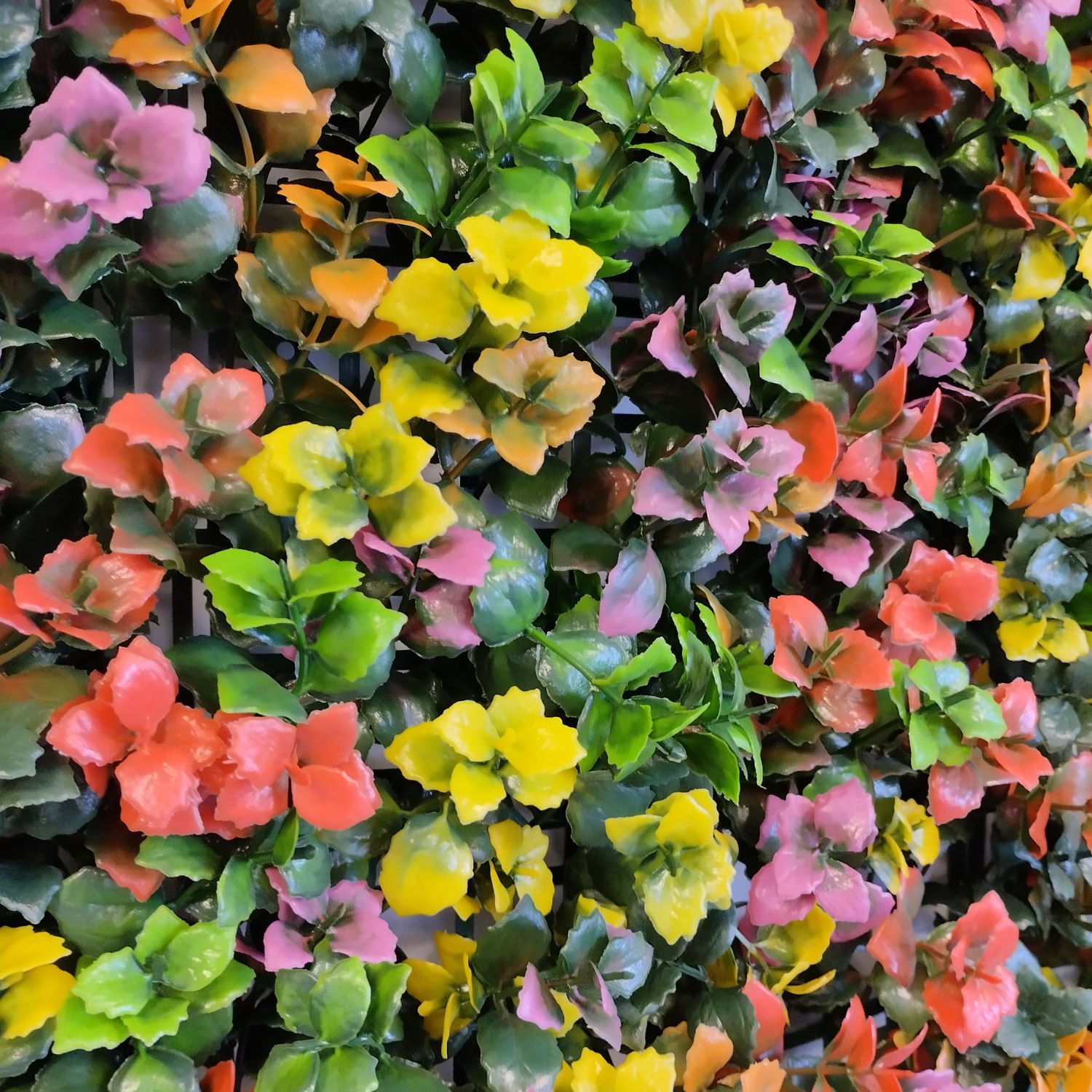 Mix Colours - Imagen 3