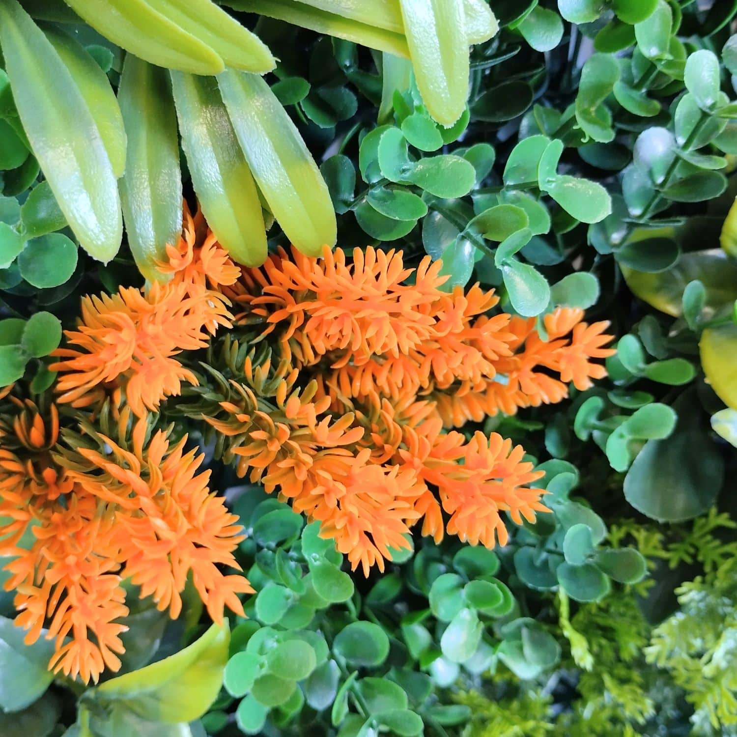 Sunset Garden - Imagen 4