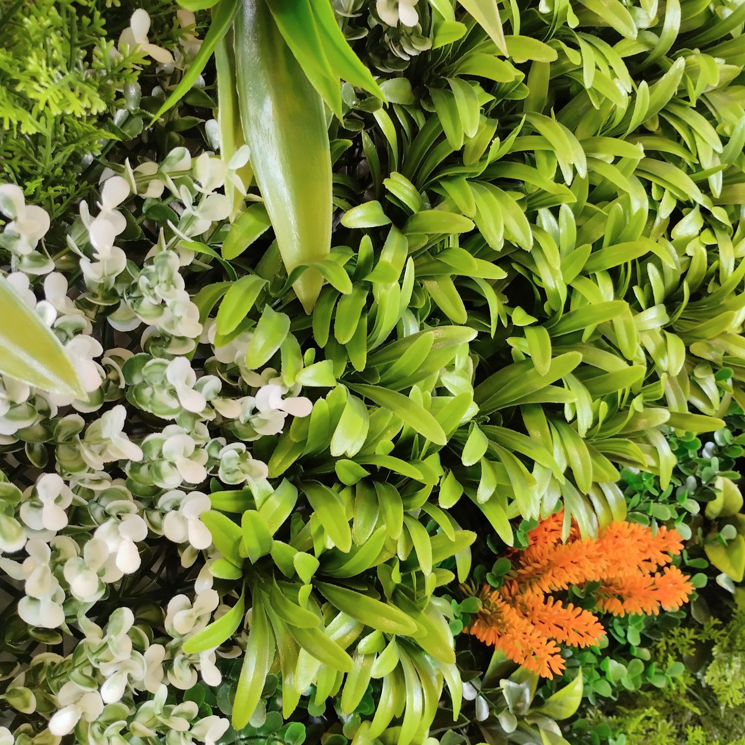 Sunset Garden - Imagen 2