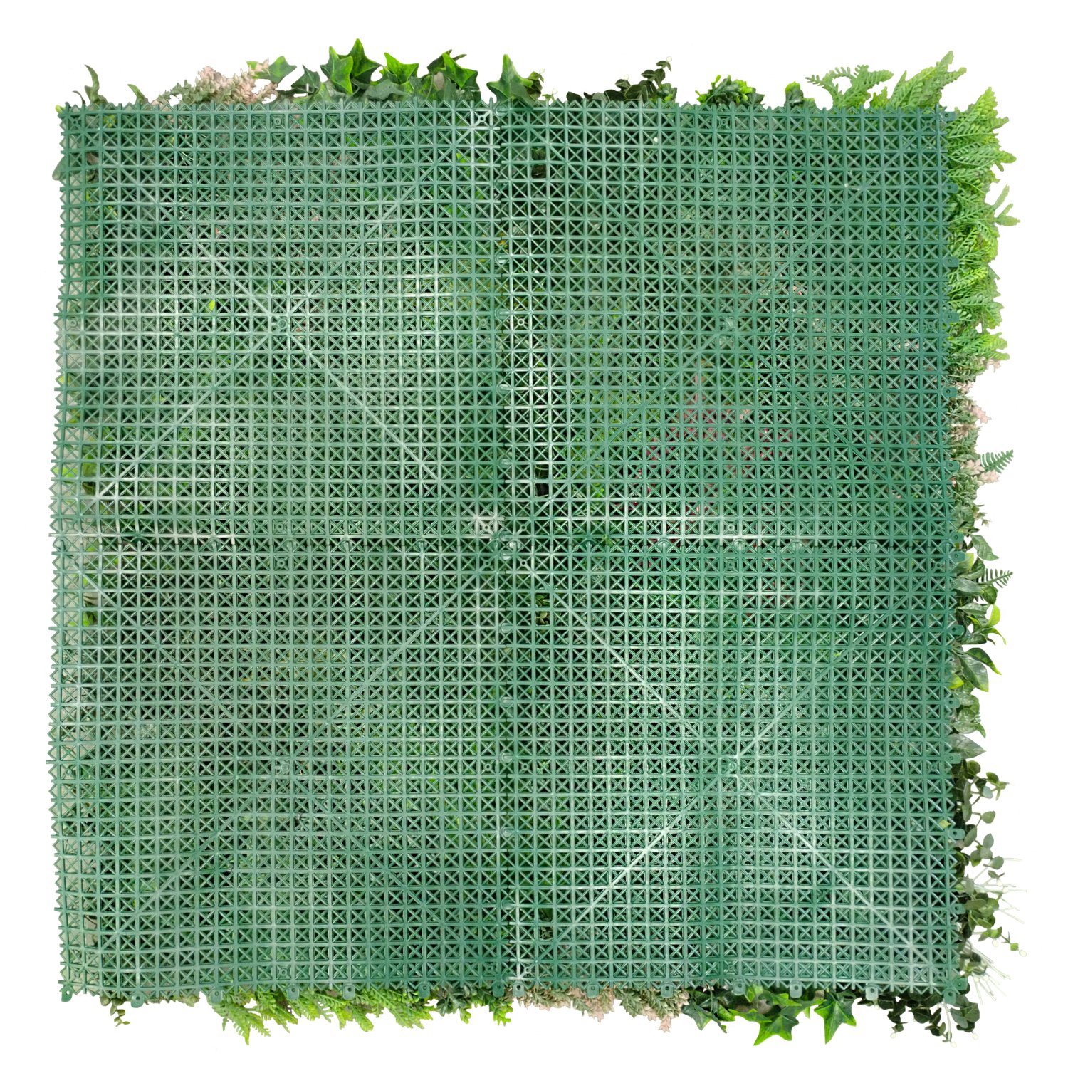 Sweet Garden B - Imagen 4