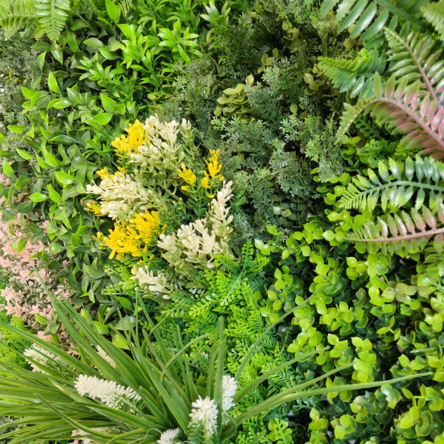 Sweet Garden C - Imagen 3