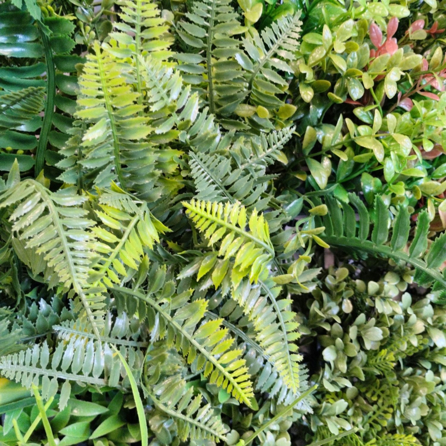 Green Nature - Imagen 2