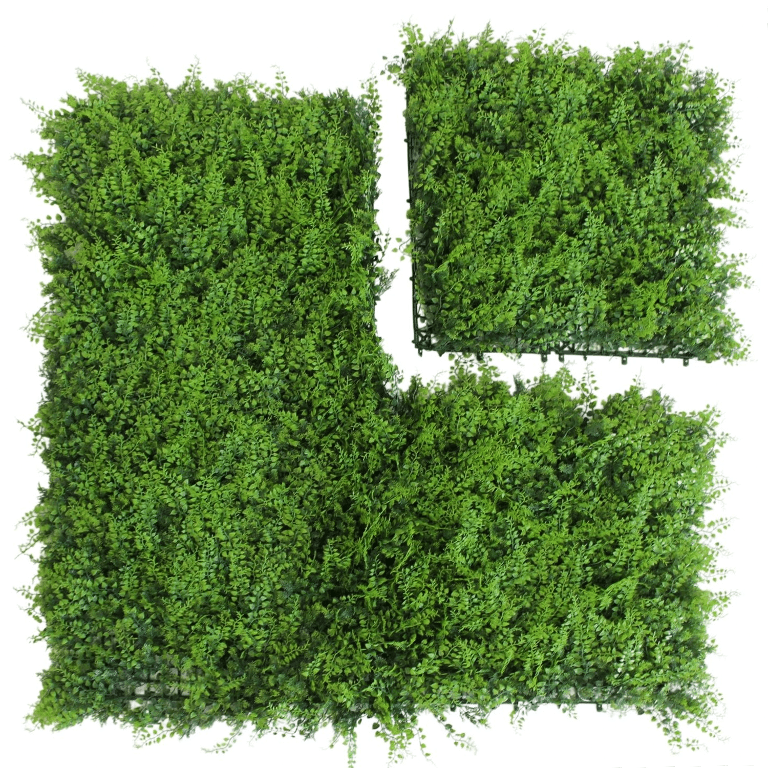 Mediterranean - Imagen 3