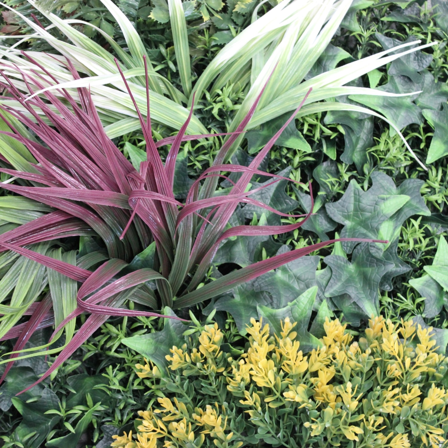 Magic Garden - Imagen 3